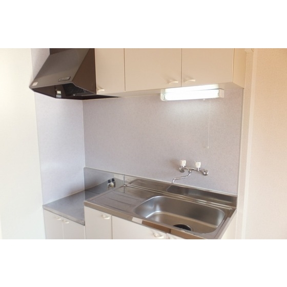 Kitchen. The photograph is a separate room.