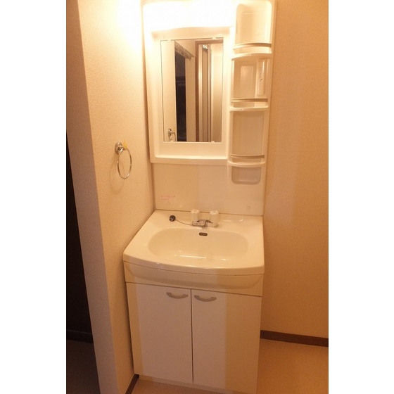 Washroom. The photograph is a separate room.