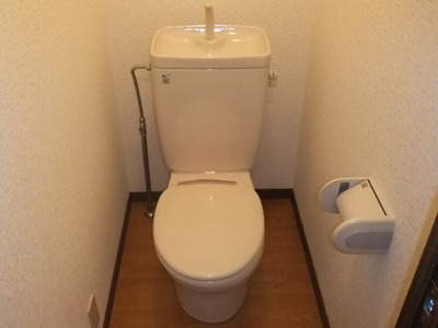 Toilet. ※ The photograph is another room