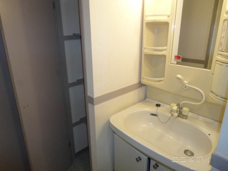 Washroom. Shampoo dresser