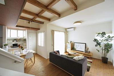 Living. Open feeling of the ceiling height 2.95m