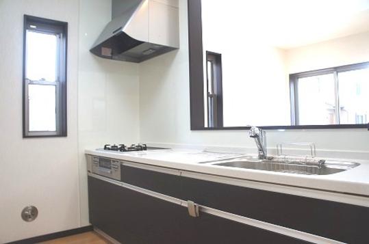 Kitchen. Face-to-face kitchen living room overlooking