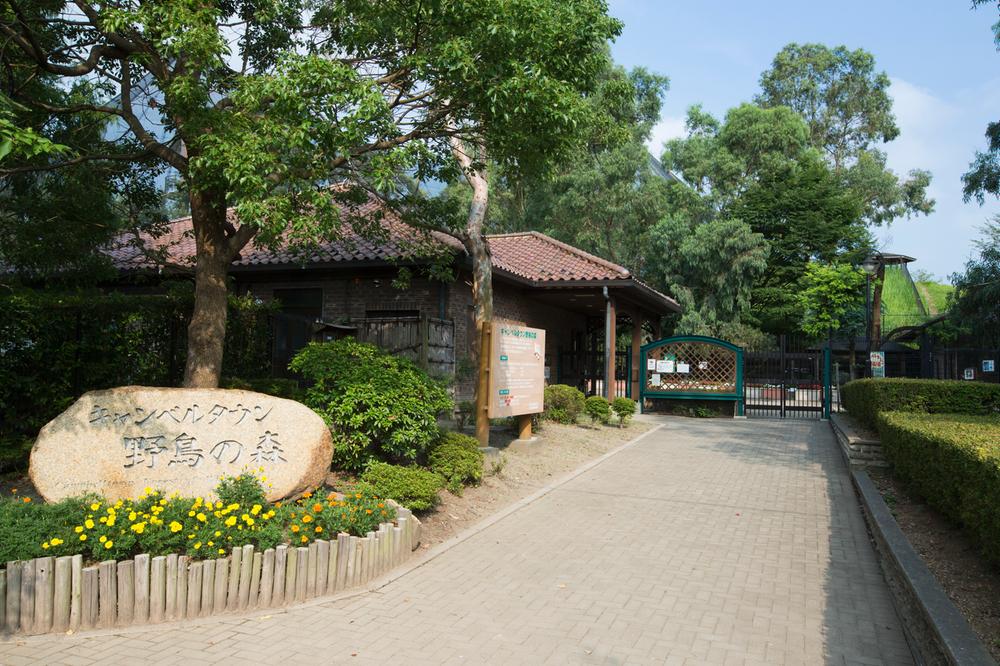 park. Nature and get close mini-theme park of 4000m Australia to forest of Campbell Town wild birds. 