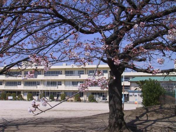 Primary school. Poem to elementary school 1200m