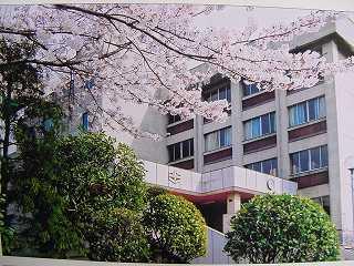 Junior high school. Koyo 1400m until junior high school