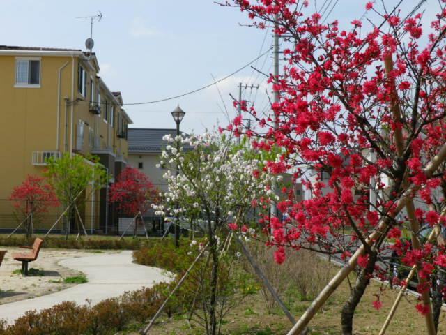 park. The second park