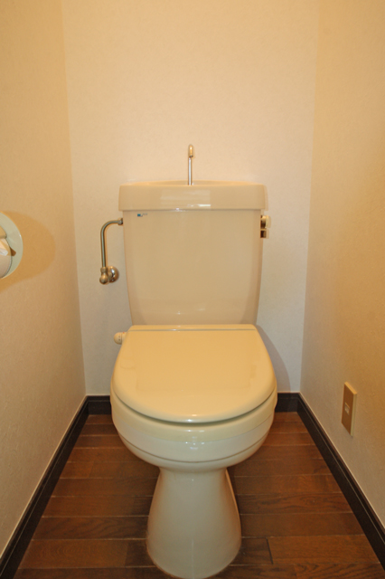 Toilet. Toilet clean impression