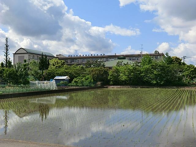 Junior high school. Koshigaya Minami until junior high school 1595m