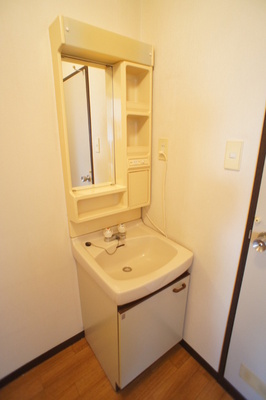 Washroom. Independent wash basin is still useful!