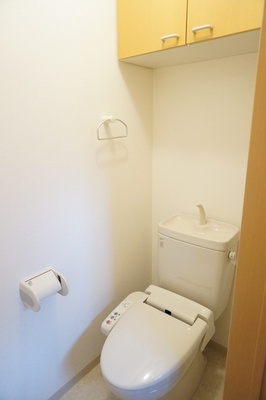 Toilet. Shelf with that put the toilet accessories