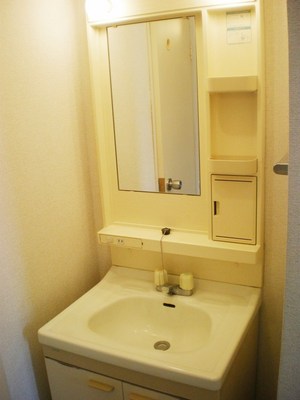 Washroom. There washbasin independent