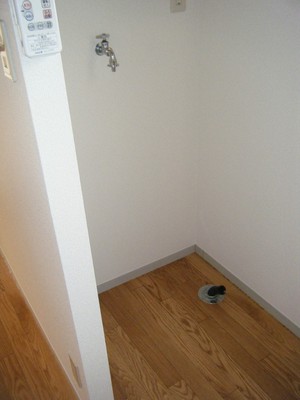 Other. There yard indoor washing machine