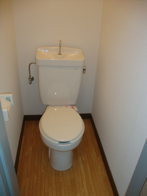 Toilet. Separated toilet