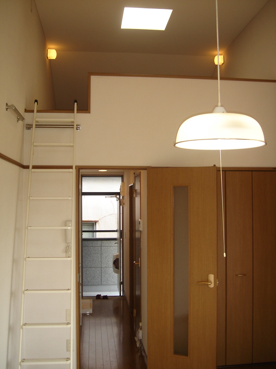 Living and room. Top light