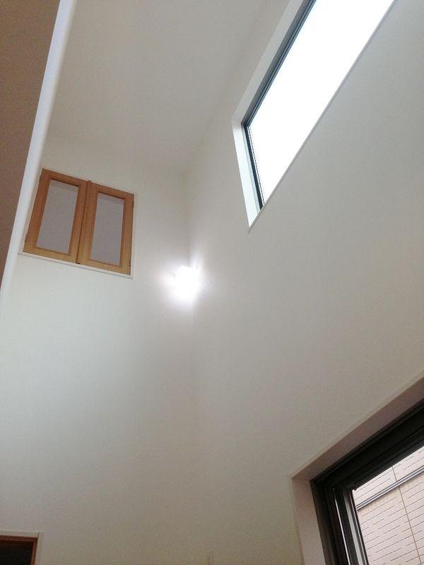 Living. Bright atrium