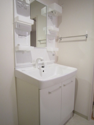 Washroom. Bathroom Vanity