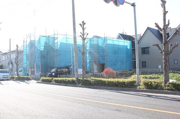 Local photos, including front road