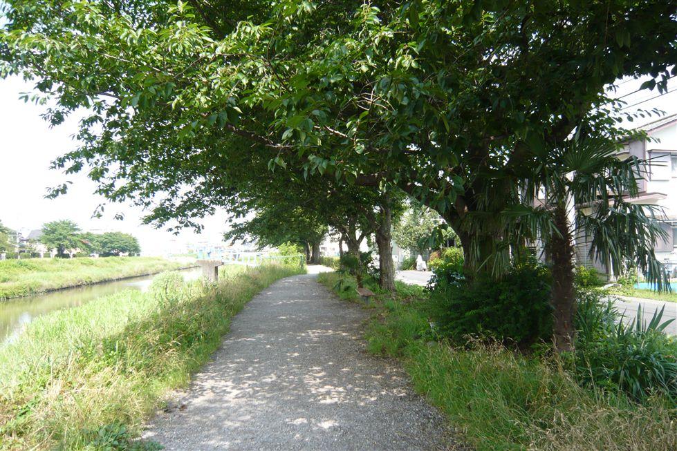 View photos from the local. There is a promenade in front of the eye, Cherry blossoms are beautiful in the spring.