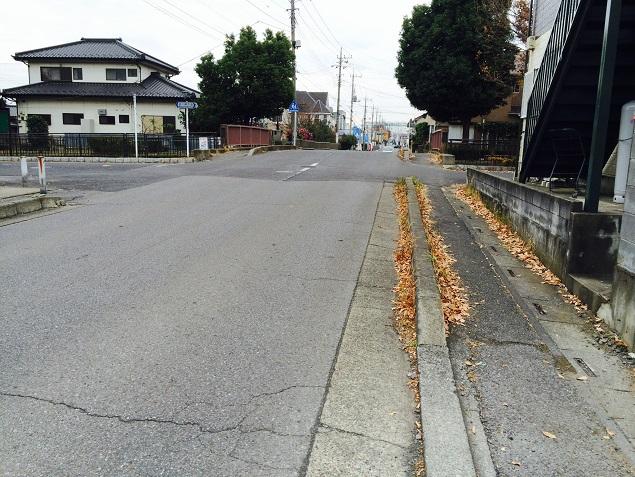 Local photos, including front road