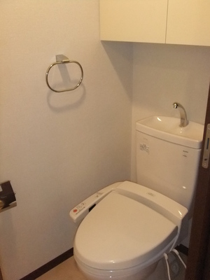 Toilet. The photograph is another room. 