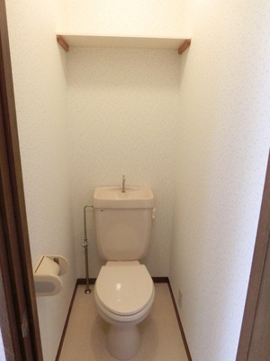 Toilet. Shelf with that put the toilet accessories