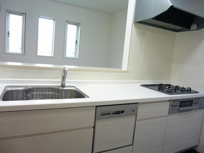 Kitchen. Indoor (12 May 2013) Shooting