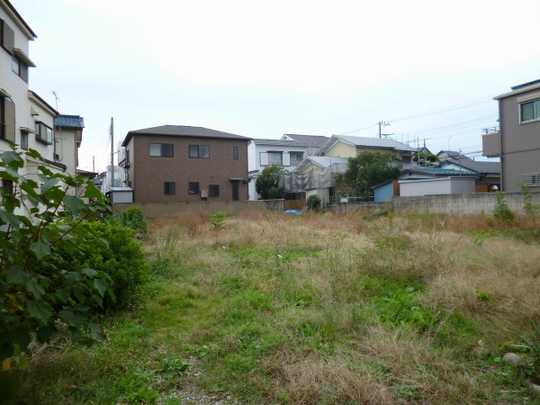 Local land photo. appearance