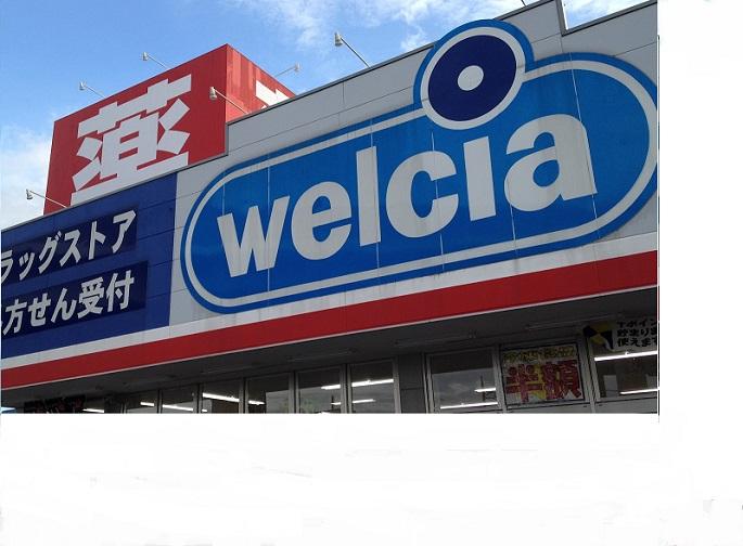 Drug store. Uerushia Koshigaya until large bag shop 326m