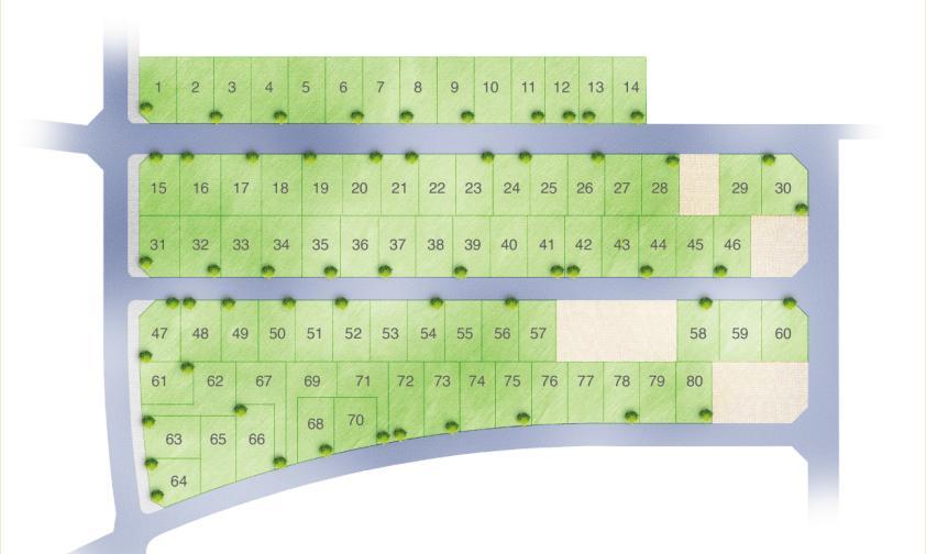 The entire compartment Figure