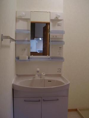 Washroom. Shampoo dresser