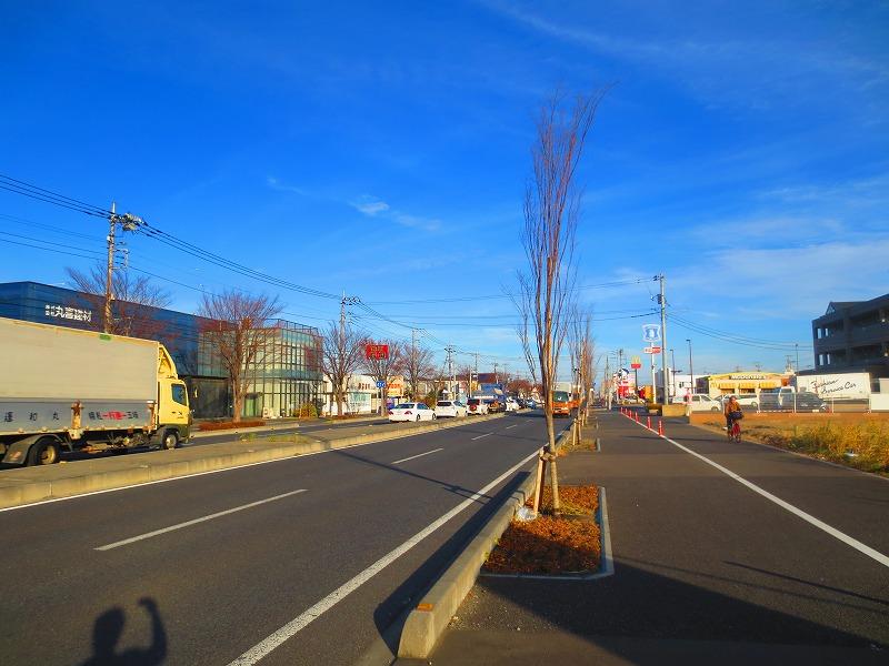 Local photos, including front road. Local (12 May 2013) Shooting