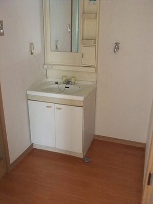 Washroom. Independent wash basin is still useful!