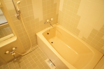 Bath. There is a mirror in the bath