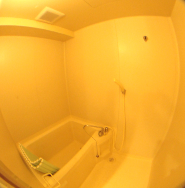 Bath. Each day relaxing with a clean bathroom