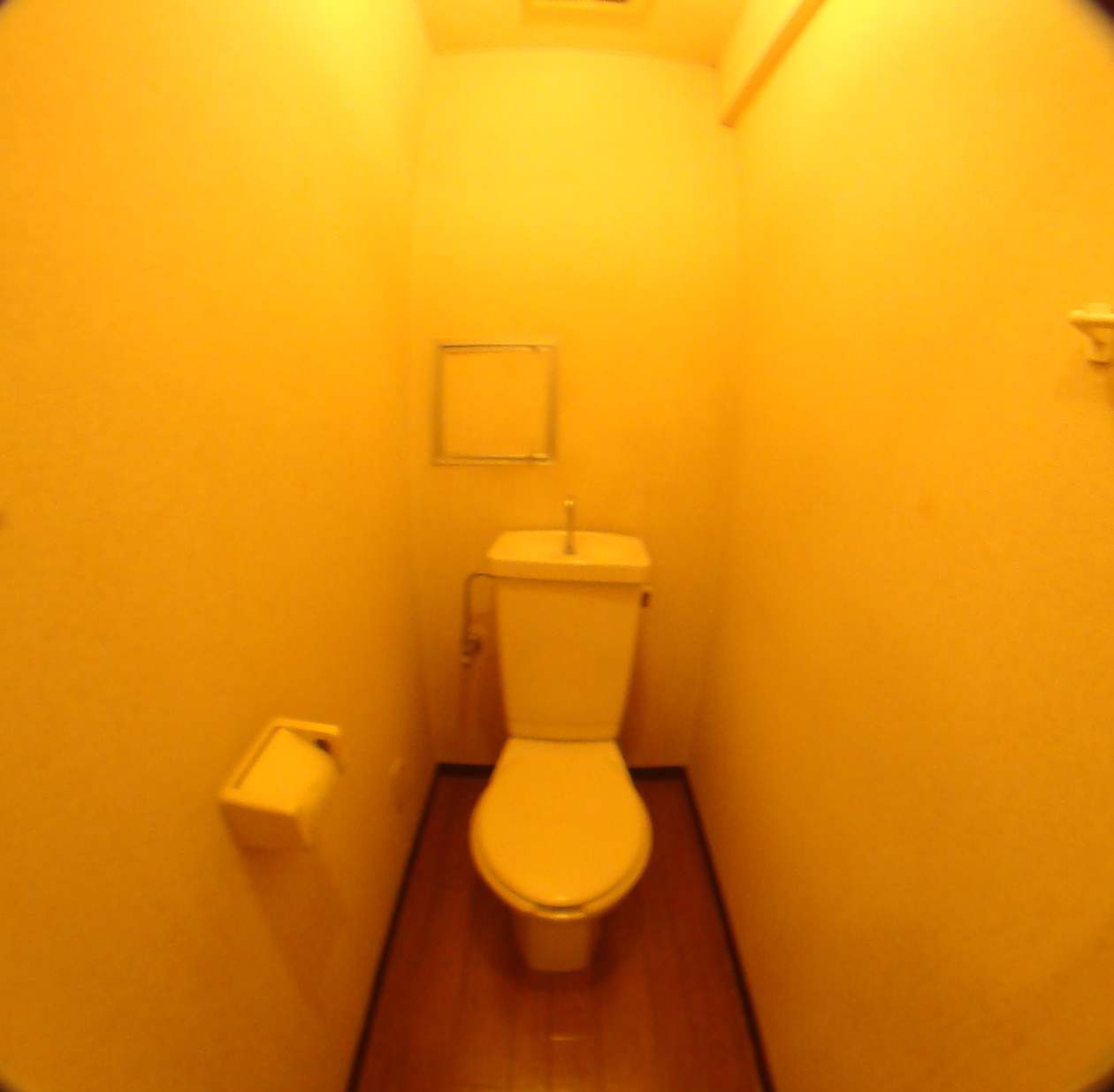 Toilet. Toilet clean impression