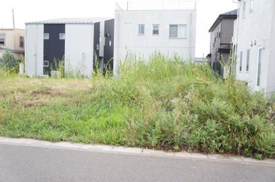 Local land photo. Local Photos