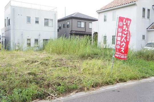 Local land photo. Local Photos