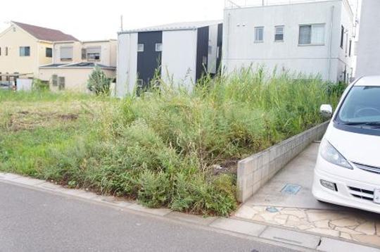 Local land photo. Local Photos