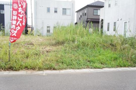 Local land photo. Local Photos