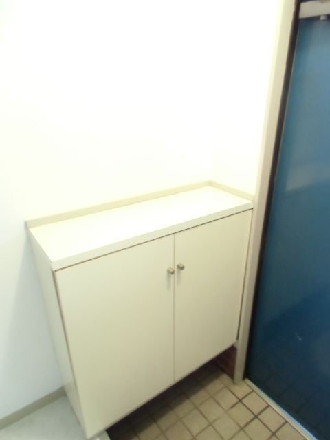 Entrance. Shoe box looks indispensable item