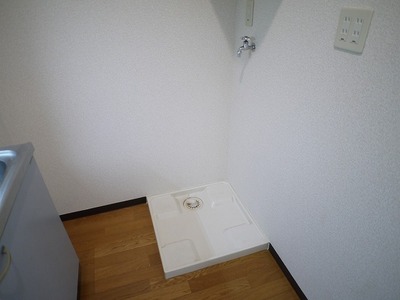 Other. Laundry Storage in the room.