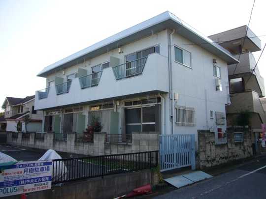 Local land photo. Appearance 1