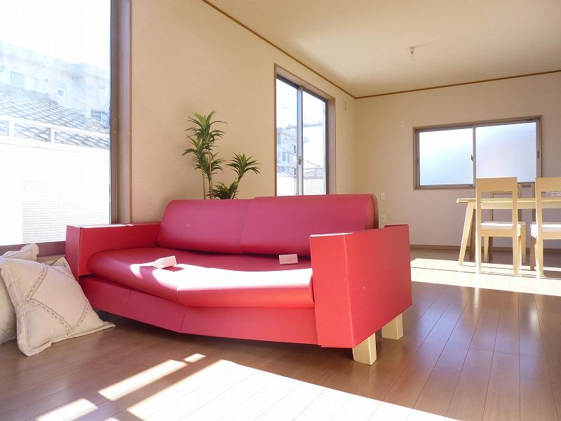 Living. Indoor (12 May 2013) Shooting