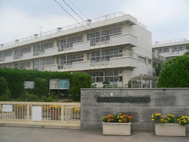 Primary school. 1000m to square elementary school