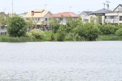 Other Environmental Photo. Lake Town 580m to (atmospheric Sagami regulating pond)