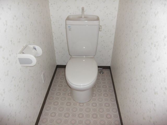 Toilet. Clean toilets. I'm happy warm water toilet seat.