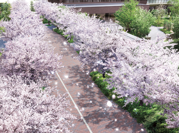 Diamond Street Rendering