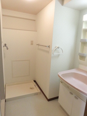 Washroom. Shampoo dresser