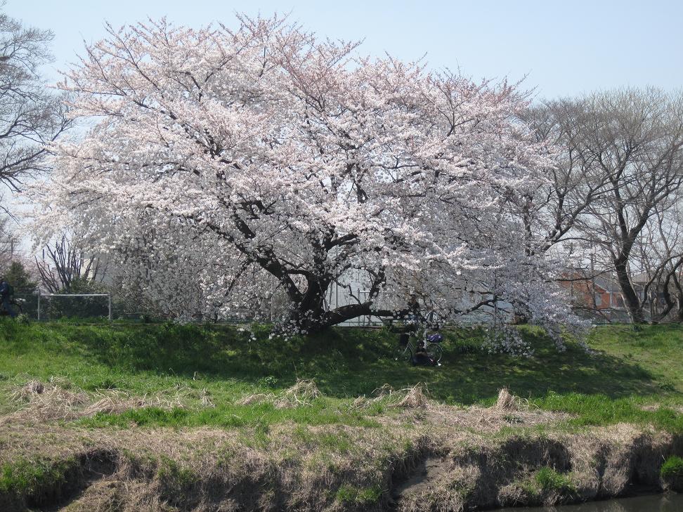 park. Kitakoshigaya 720m until the fifth park