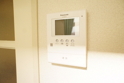 Other Equipment. Recording function with a TV monitor interphone!